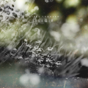 耽肉高H喷汁动漫
